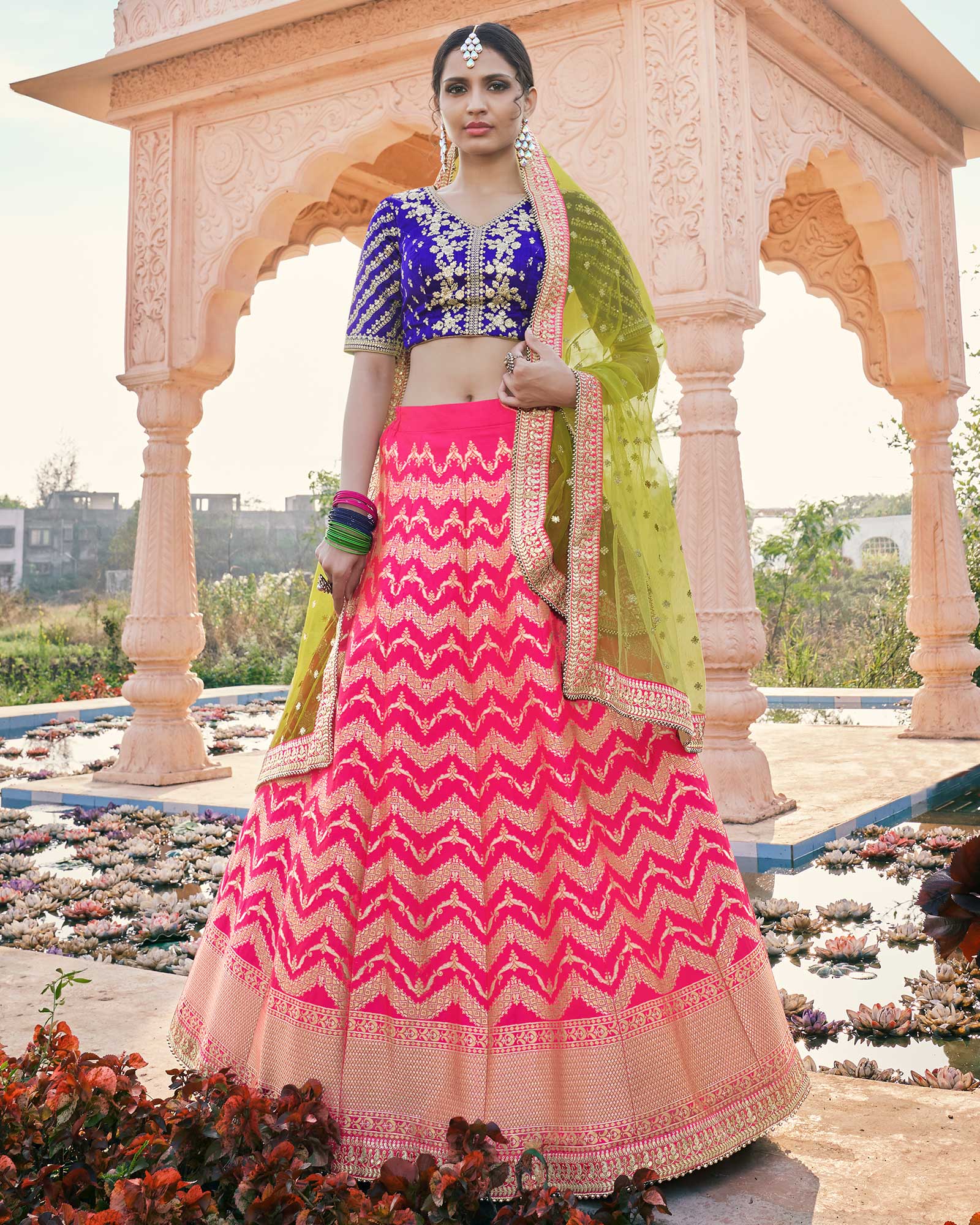 Rani Color Designer Lehenga Choli